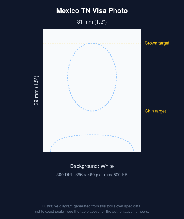 Diagram of Mexico TN Visa Photo: 31x39mm with head-position guide bands