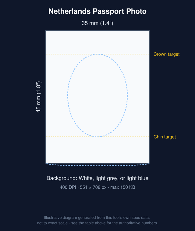 Diagram of Netherlands Passport Photo: 35x45mm with head-position guide bands
